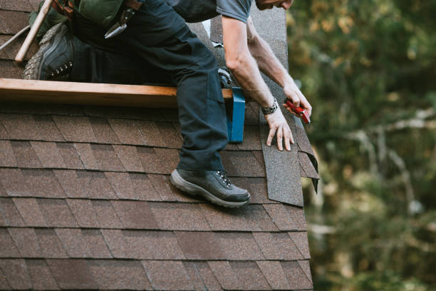 Best Shingle Roofing Installation  in Edgewater, FL